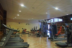 palestra-1